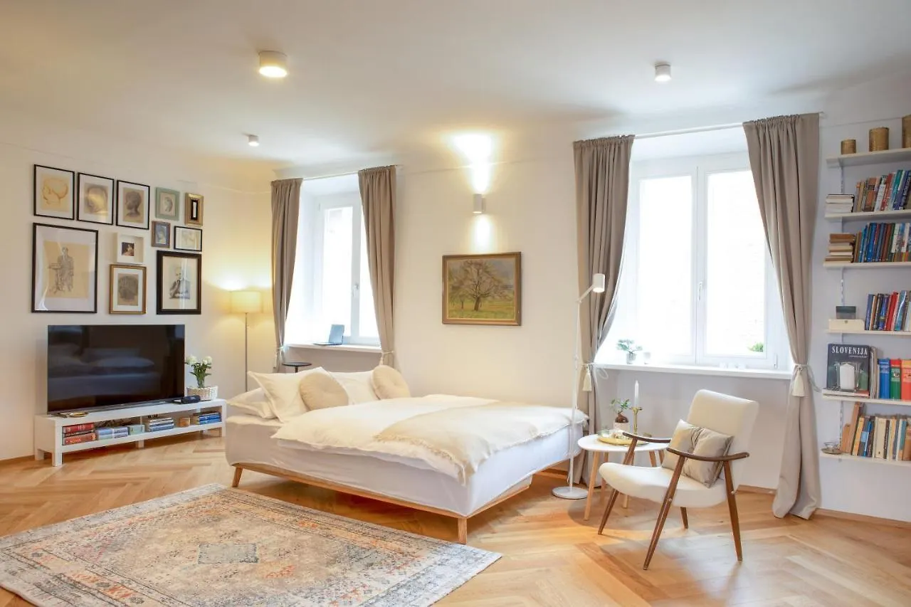 Stylish Apartment In Historical Center Ljubljana